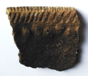 Clay pot fragment neolithic